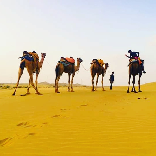 2night Package For Jaisalmer 1night And1night For Sam Desert Plaza Desert Safari Camp Sam Jaisalmer 