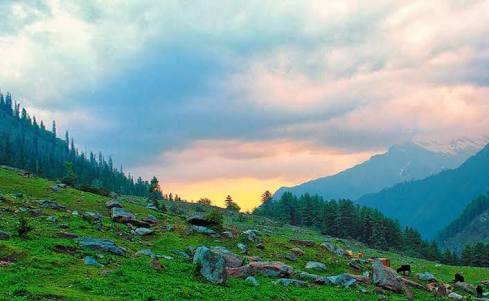 Manali Volvo Package ( 5 Night 6 Days )