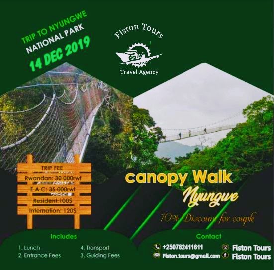 Trip To Nyungwe National Park