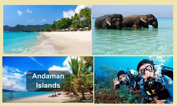 4 Days Andaman with Havelock Package