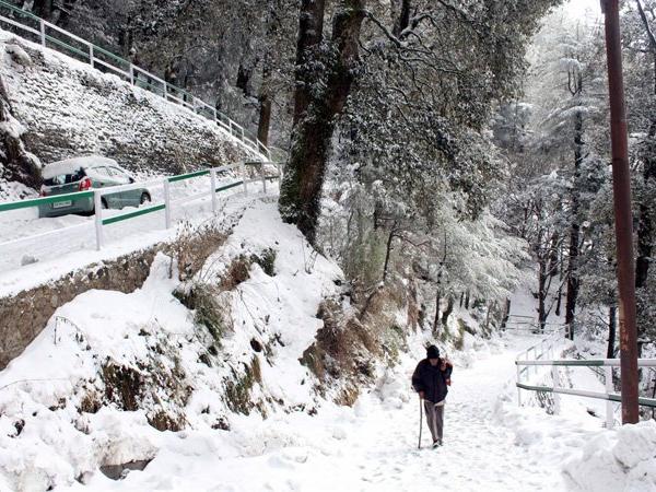 Tour To Himachal With Chandigarh