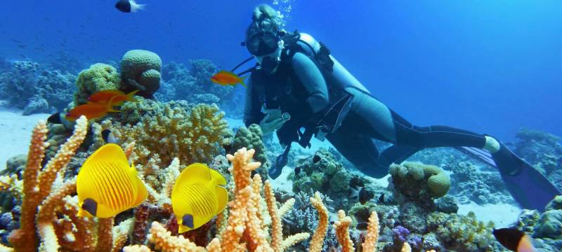 3 Night 4 Days Best Andaman Tour
