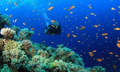 Andaman Tour Packages