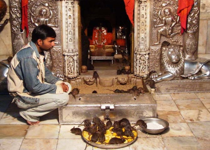 Rajasthan Tour package