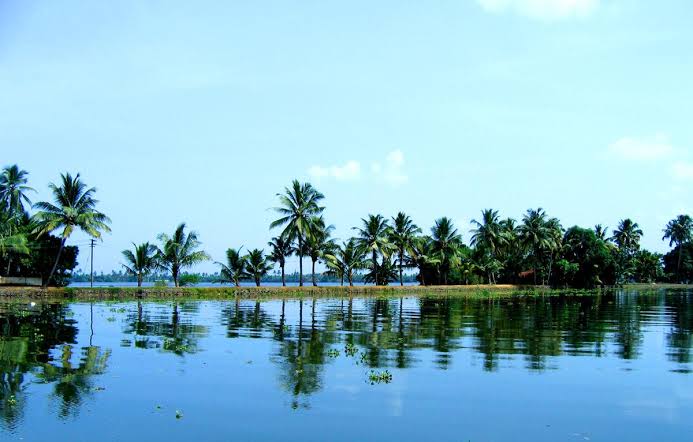 5 Nights 6 Days Munnar To Cochin Tour Package