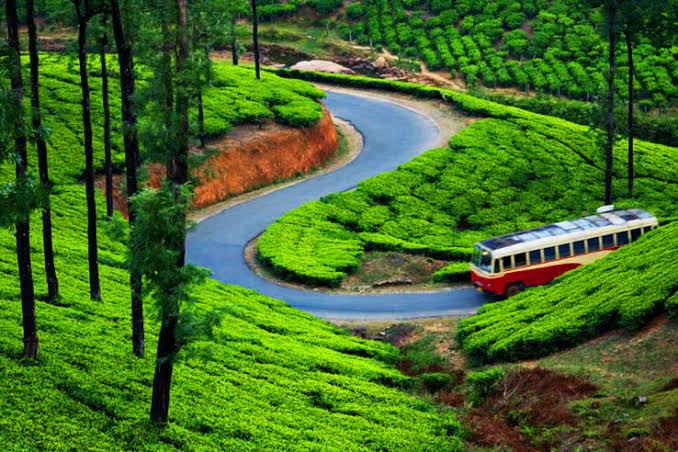 5 Nights 6 Days Munnar To Cochin Tour Package
