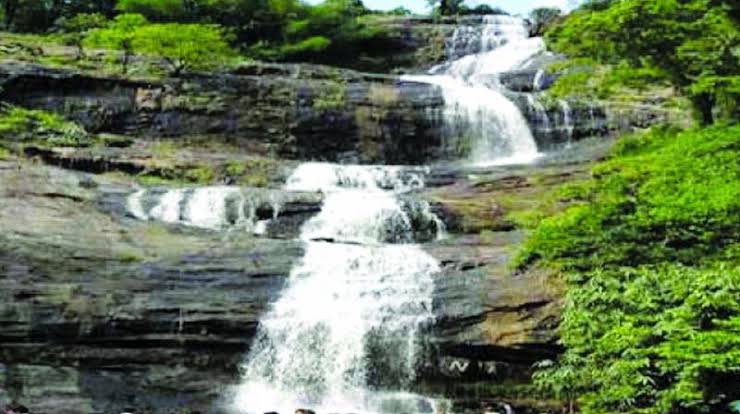 5 Nights 6 Days Munnar To Cochin Tour Package