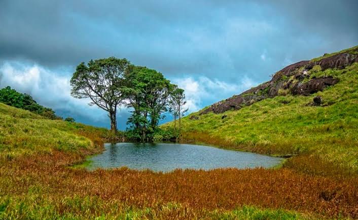 5 Nights 6 Days Munnar To Cochin Tour Package