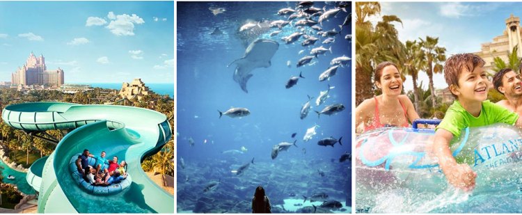 Dubai, Atlantis and Yas Island Tour