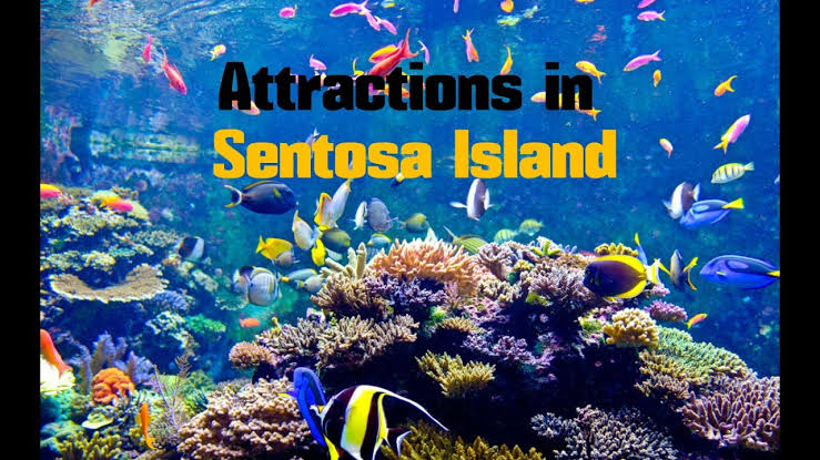 Ultimate Singapore Experience Tour