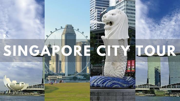 Basic Singapore with Cruise Tour