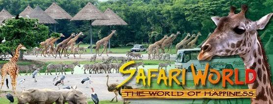 Womens Special  5 Night Thailand Package with Private Luxury Yatch Party