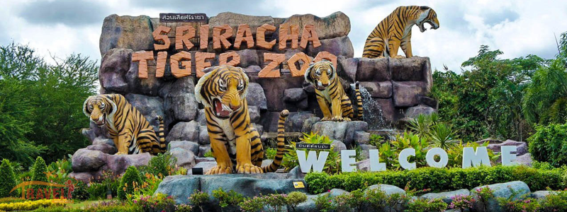 3 Night Pattaya Tour Package