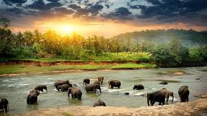 Srilanka - 06Days / 05Nights Package