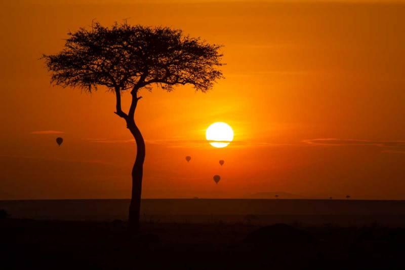 Kenya 5 Nights 6 Days