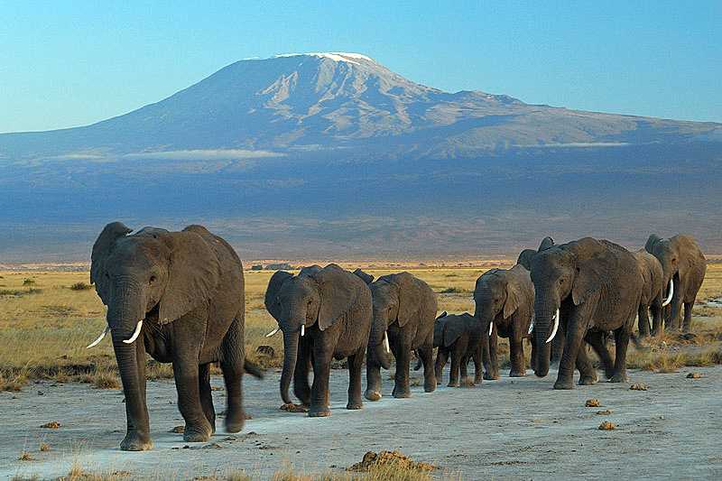Kenya 5 Nights 6 Days