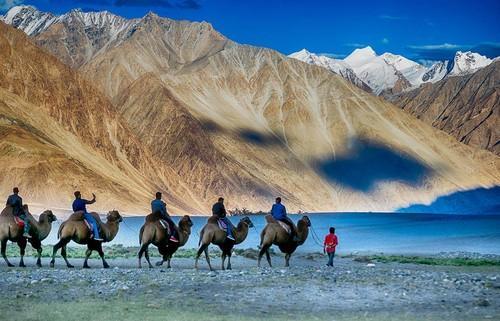 Jeep Safari To Leh With Nubra Valley Tour