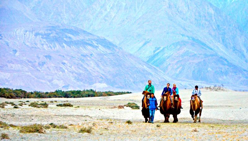 Manali–Sarchu–Leh Tour (7Days 6 Nights)