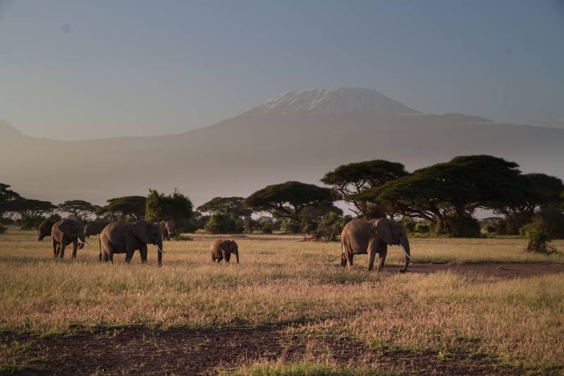 9 Days Amboseli, Tsavo West, Tsavo East & Diani Beach