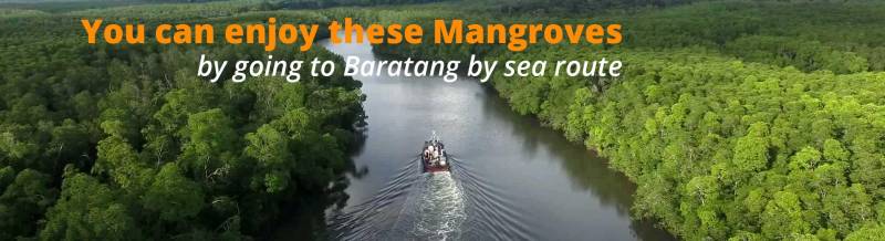 5 Nights and 6 Days Andaman Tour