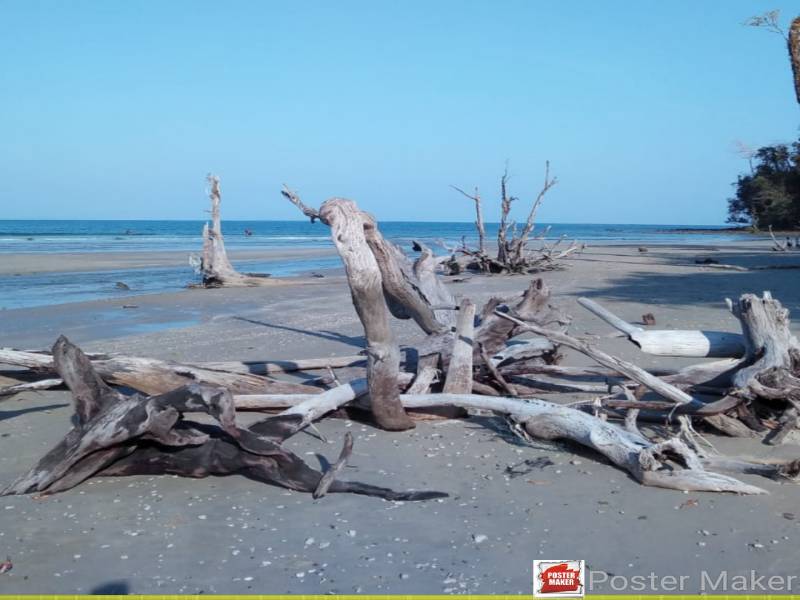 4 Nights and 5 Days Port Blair Tour