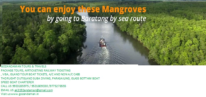 4 Nights and 5 Days Andaman