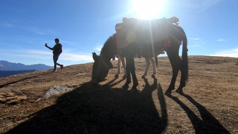 Brahmatal Winter Trek
