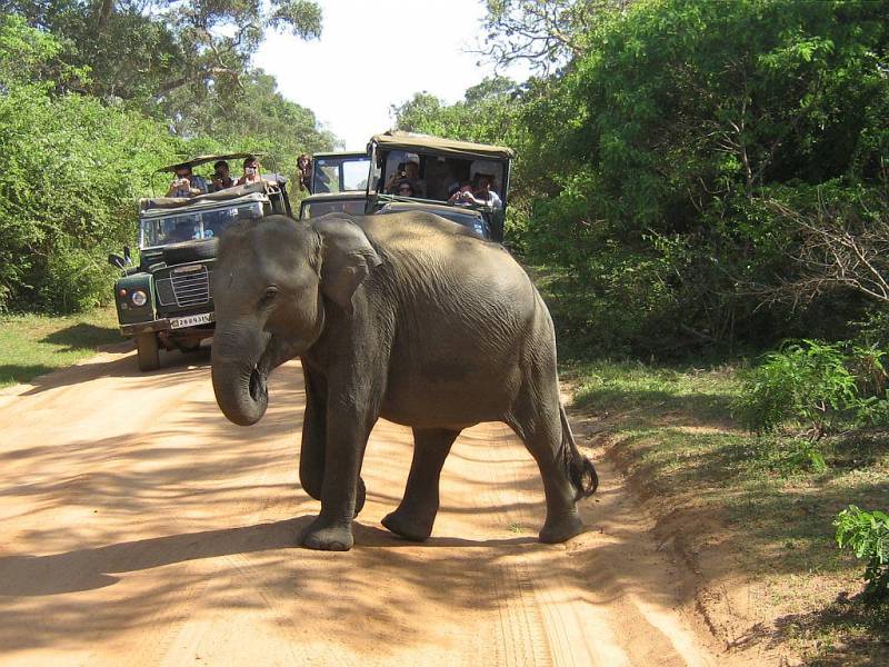 Scenic Sri Lanka with Train 4 Nights / 5 Days