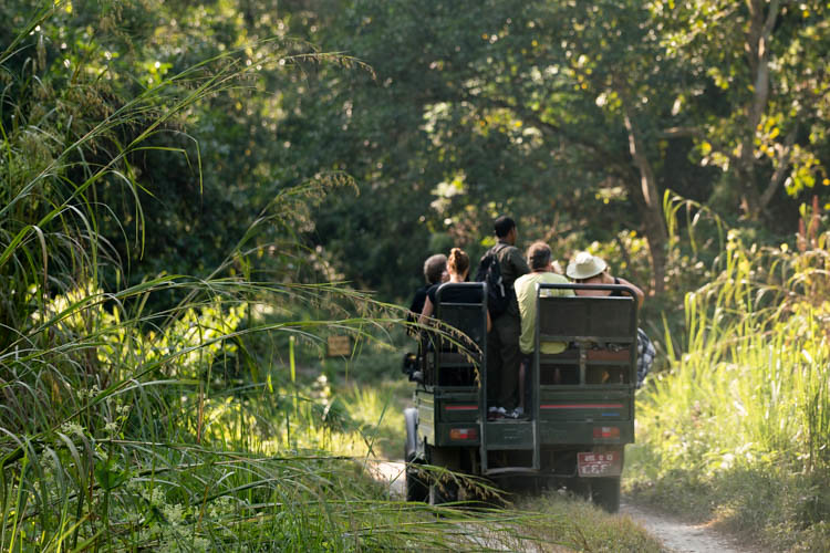 Chitwan Tour and Jungle Safari-2 Nights 3 Days
