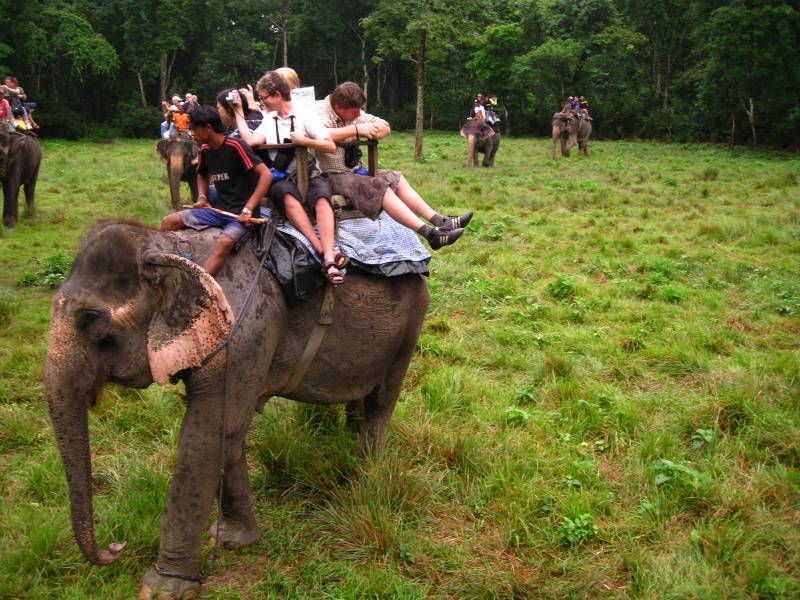 Chitwan Tour and Jungle Safari-2 Nights 3 Days