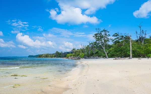 Fantastic Andaman Honeymoon Package 5 Days & 4 Nights
