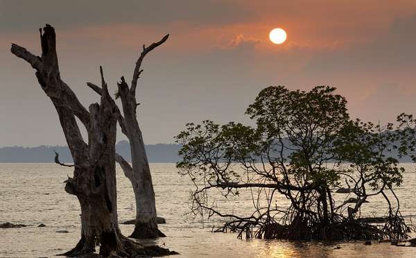 Fantastic Andaman Honeymoon Package 5 Days & 4 Nights