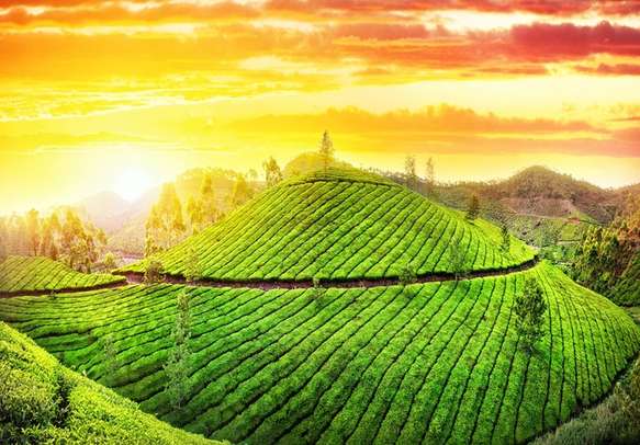 Charismatic Kochi Tour Package 4 Days & 3 Nights