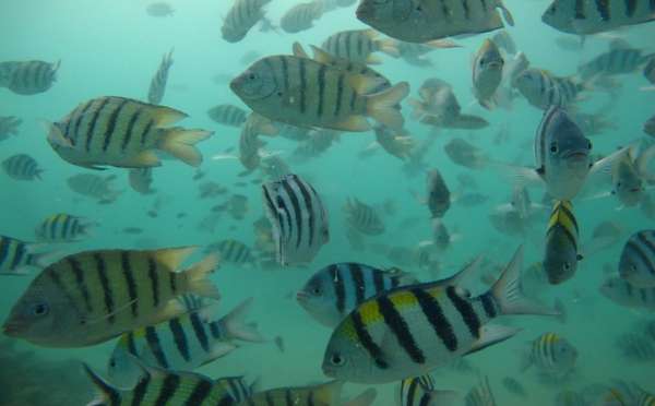 Superb Thailand Tour Package 7 Days & 6 Nights