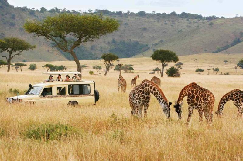 Wild Wonders 3 Day Masai Mara Adventure Safari Africa Kenya Tour
