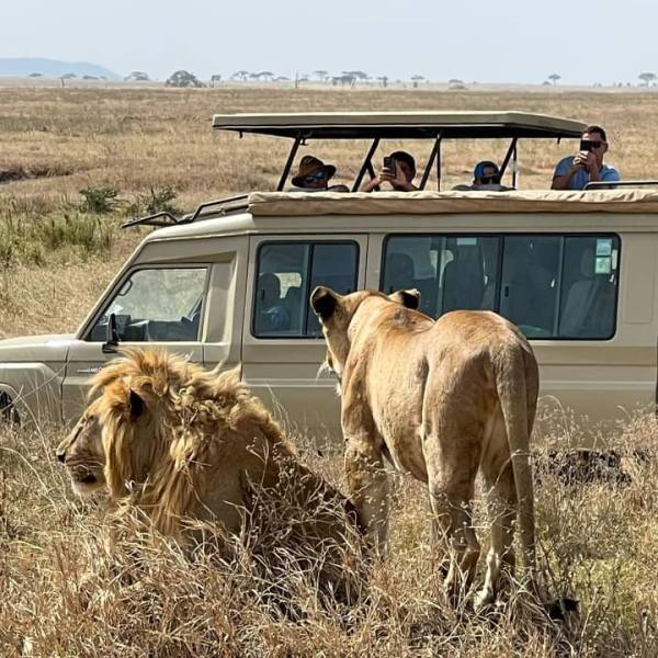 Discover The Heart Of The Wild 3-Day Masai Mara Safari