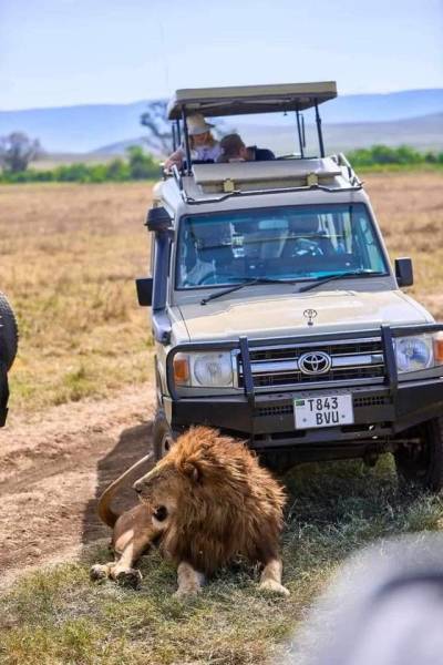 Best Of Kenya In 6 Days: Maasai Mara, Lake Nakuru & Naivasha Escape