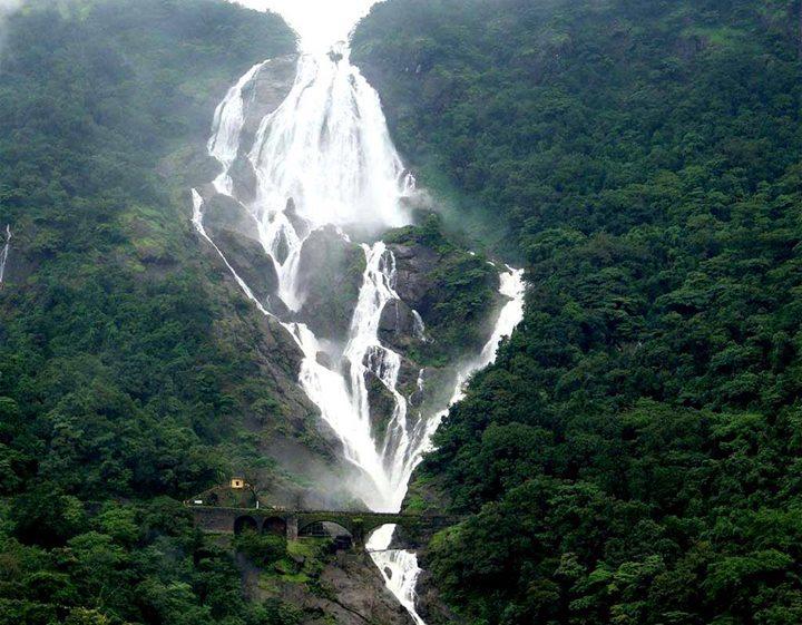 Dudhsagar Waterfall Trip From North Goa
