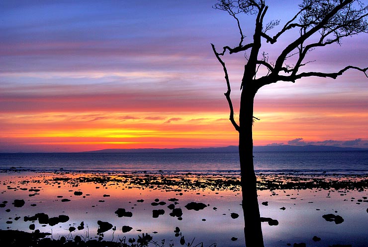 Amazing Affordable  Andaman Packages - 5 Days and 4 Nights ( Free Scuba Voucher )