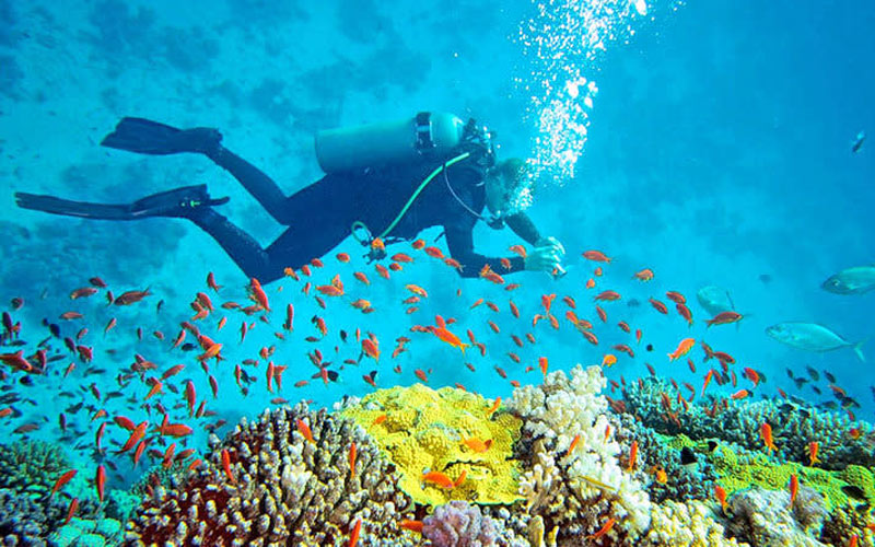 Adventure Andaman - 6 Nights and 7 Days ( Free Scuba Voucher )