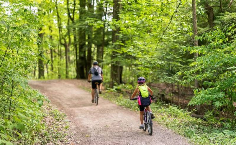 One Day Mountain Biking At Munnar - Kerala Tour