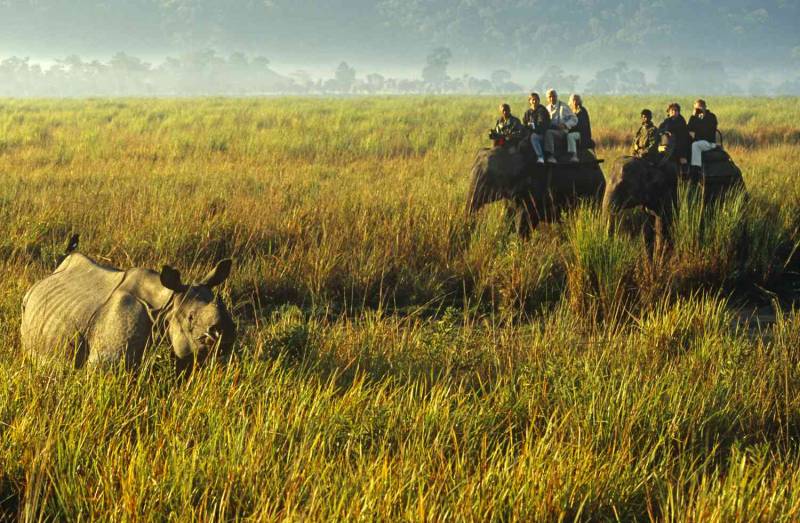 4 Nights - 5 Days Assam Adventure Tour