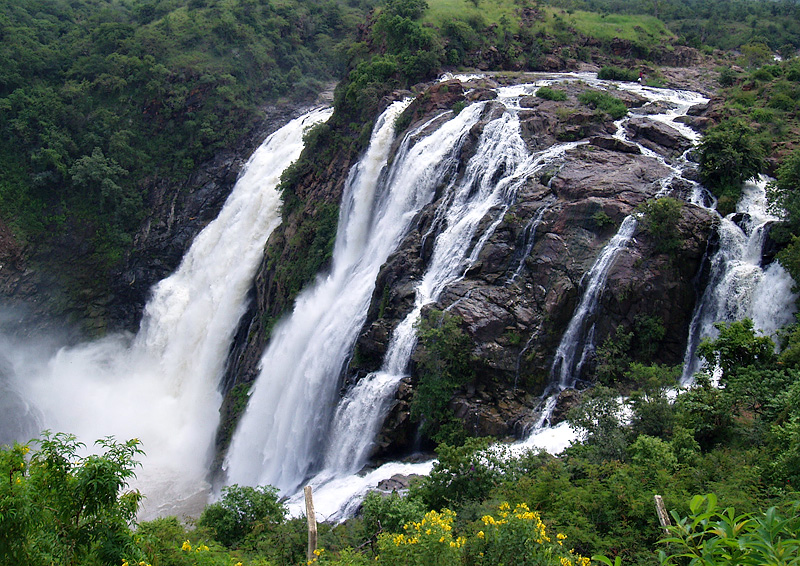 6 Nights 7 Days In Mysore - Nagarhole - Ooty Tour