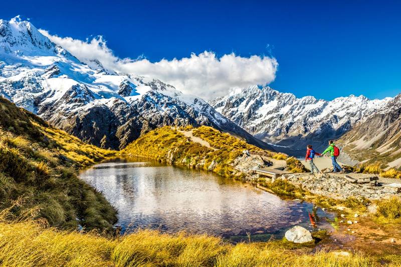 6 Nights - Untouched South New Zealand Tour