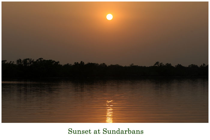 Sundarban Tour 2 Night 3 Days