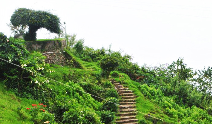 2 Nights 3 Days Madurai to Kodaikanal Tour Package