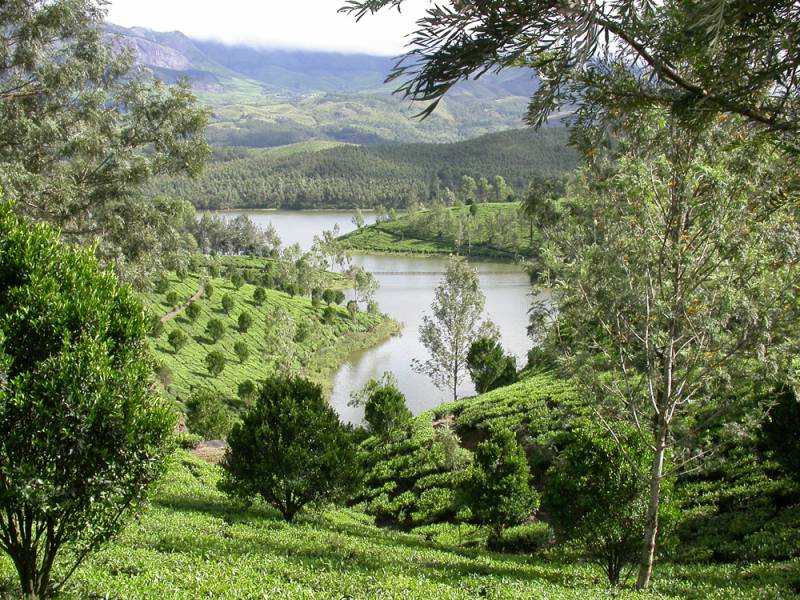 4 Nights Munnar- Alleppey Package