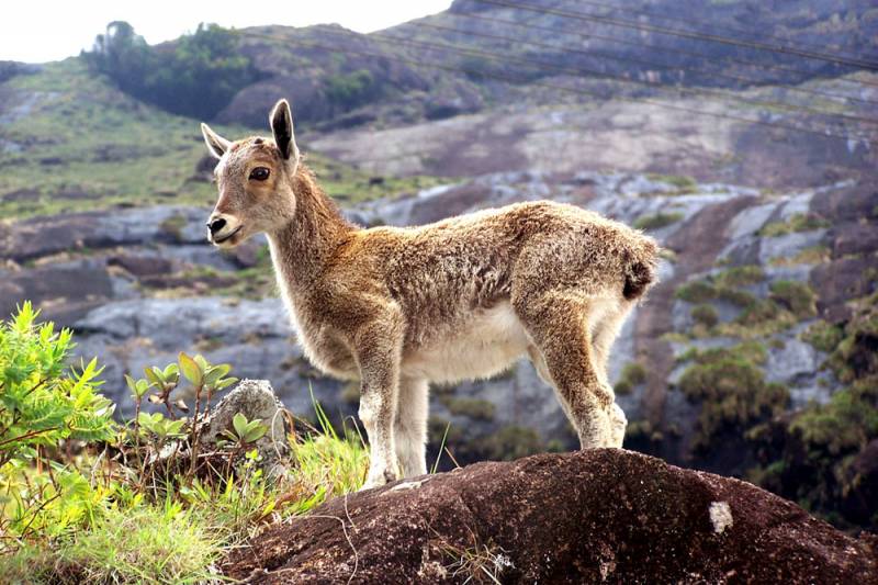 4 Nights Munnar- Alleppey Package