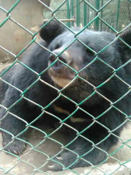 6 Nights 7 Days Tour Package