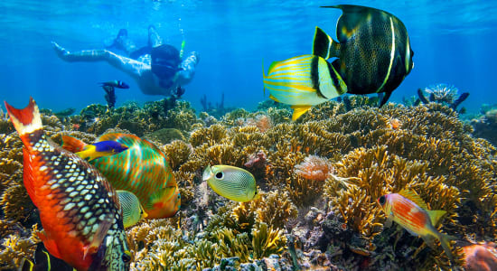 Easter in Egypt 2020 Tour Packages